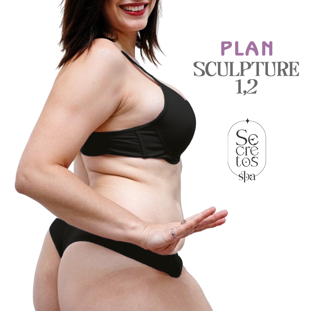 Plan Sculpture 1.2
